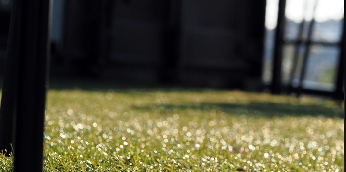 CÉSPED ARTIFICIAL | MADERAS HERMANOS GUILLEN